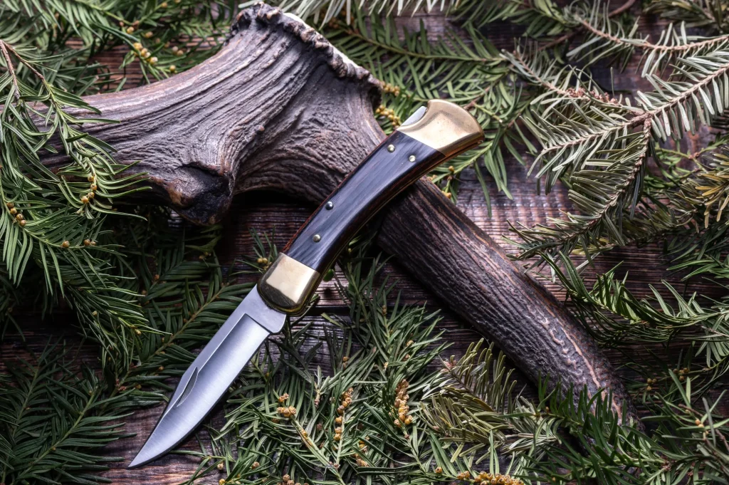 Buck Pocket Knife