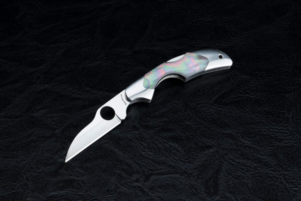 Spyderco Pocket Knife