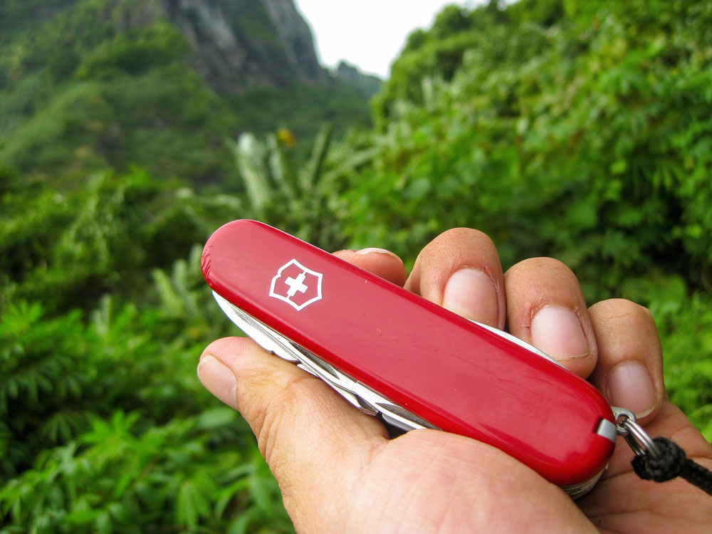 Victorinox Pocket Knife